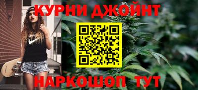 шишки Заволжье