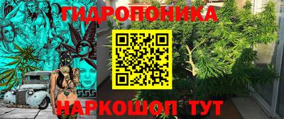 шишки Заволжье