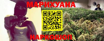 шишки Заволжье