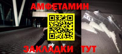 шишки Заволжье