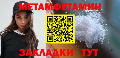 шишки Заволжье