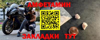 шишки Заволжье