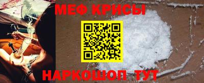 шишки Заволжье