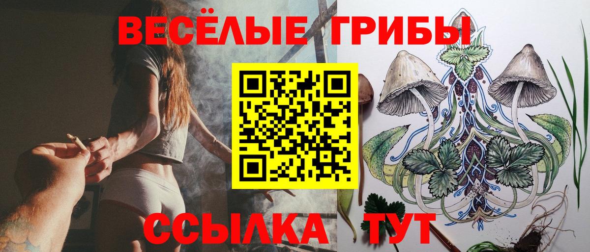 Псилоцибиновые грибы мицелий  Вход с VPN  Магнитогорск  Псилоцибиновые грибы GOLDEN TEACHER 